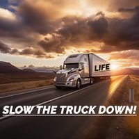 SLOW THE TRUCK DOWN! by Brian Jilg