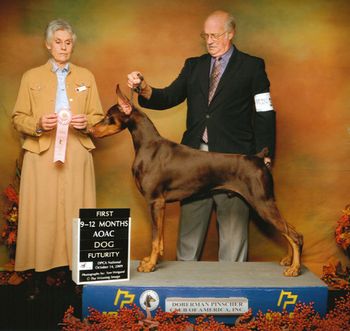 DPCA Futurity at 9 months under Marj Brooks
