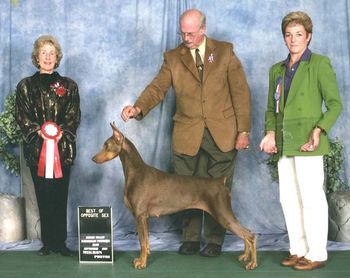 BOS - DPCA Regional 2001 - Nancy Heitzman
