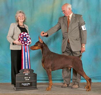 Best in Show 2012 Judge: Mike Macbeth
