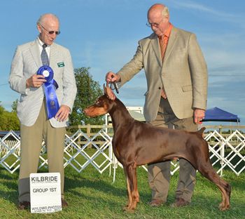 Group 1 Kilbride KC 2012 - Judge: Dr. Anthony DiNardo
