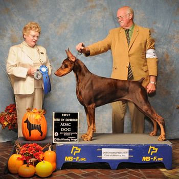 DPCA National - Judge: Judy Brown
