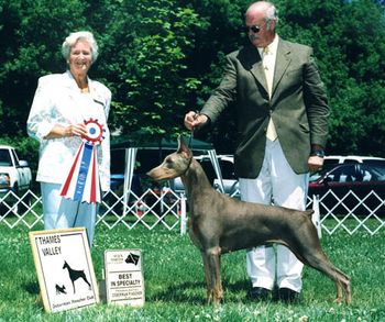 Best in Specialty - Dr. Suzanne Morrow Francis
