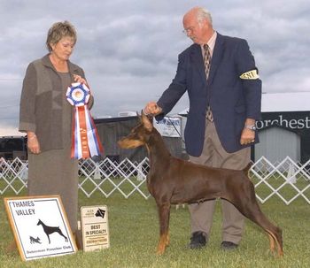 First specialty win under breeder/judge, Mary White
