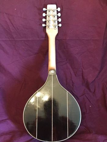 Brazilian rosewood mandolin
