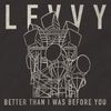 Bury / Better Than I Was Before You Double EP - Levvy: CD