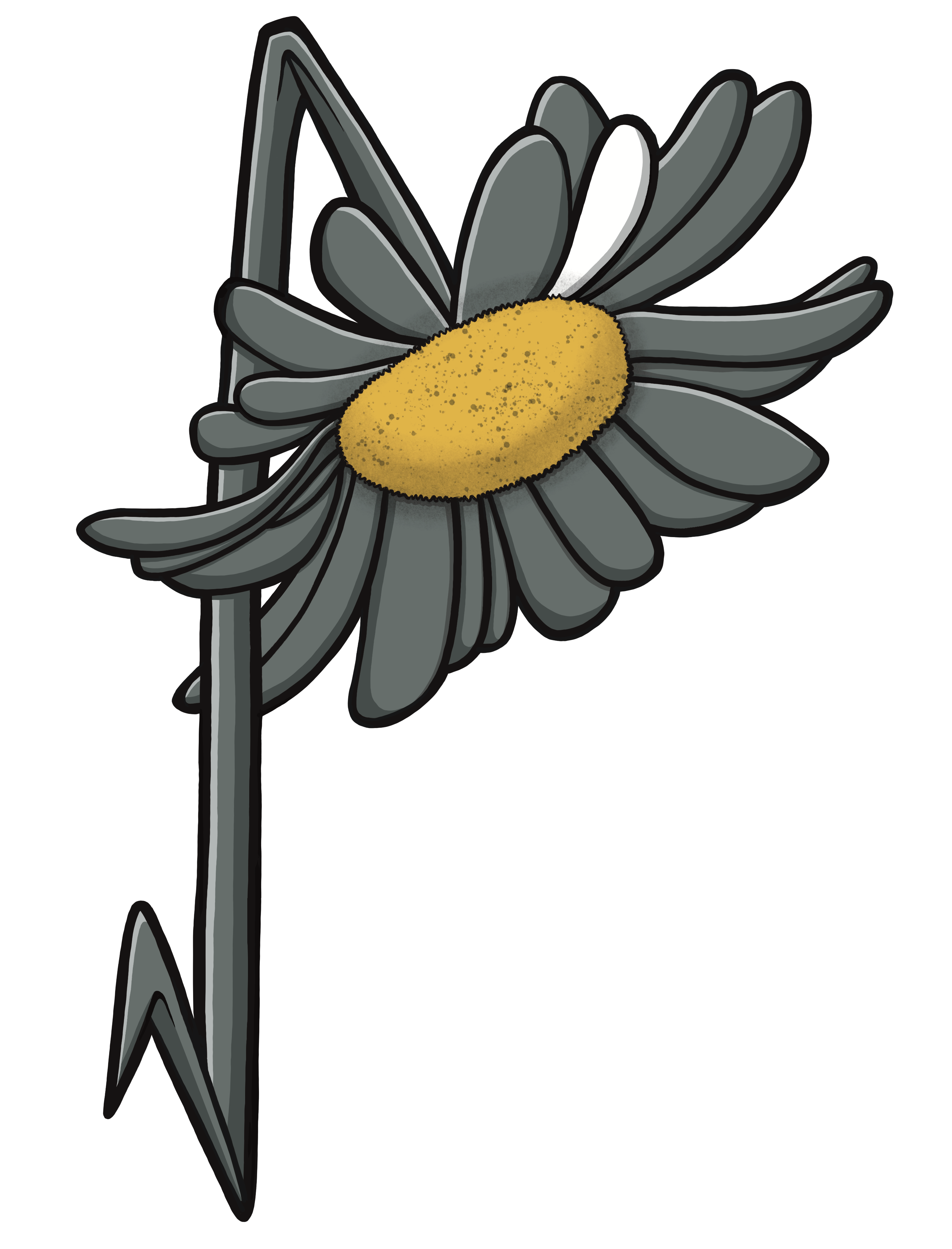 HOODIE - Broken Daisies