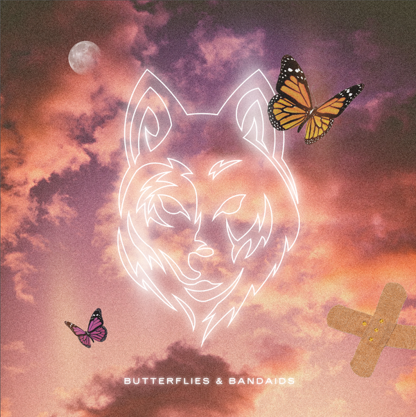 Butterflies & Bandaids Remix Comp Files