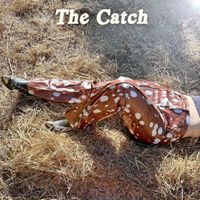 The Catch by Clare Doyle