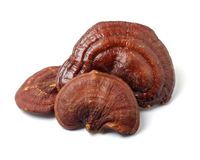 Reishi (1 oz.)