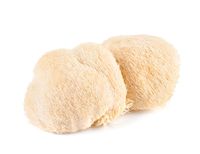 Lion's Mane (2 oz.)