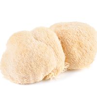 Lion's Mane (1 oz.)