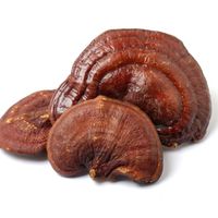 Reishi (2 oz.)