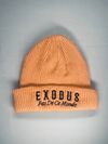 Exodus Ribbed Beanie 