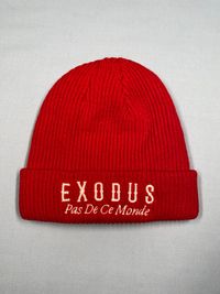 Exodus Ribbed Beanie