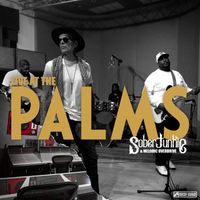 Live at The Palms by The Sober Junkie