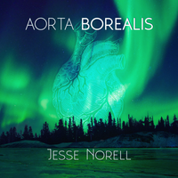 Aorta Borealis: (Jesse Norell Solo) CD
