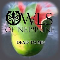 Dead To Me by Owls of Neptune