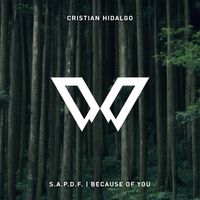 S.A.P.D.F. - Because of you by Cristian Hidalgo