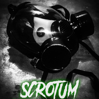Scrotum: The Second One Poster B
