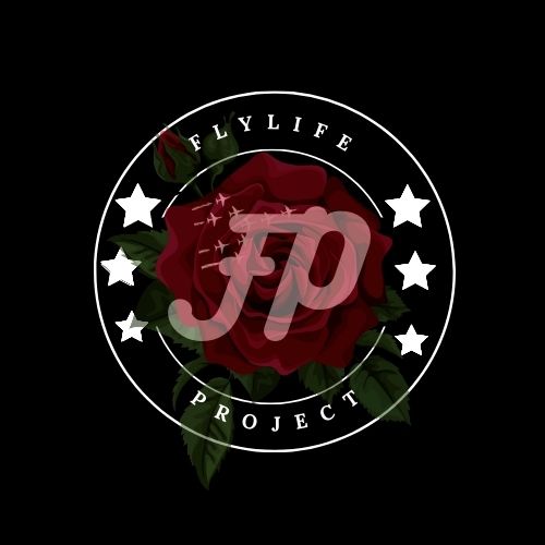 Flylife project