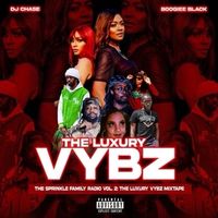 The Sprinkle Family Radio Vol. 2 - The Love of the Vybz Mixtape (Hosted By DJ Chase and True Luxury)  by The Sprinkle Family Feat. DJ Chase 