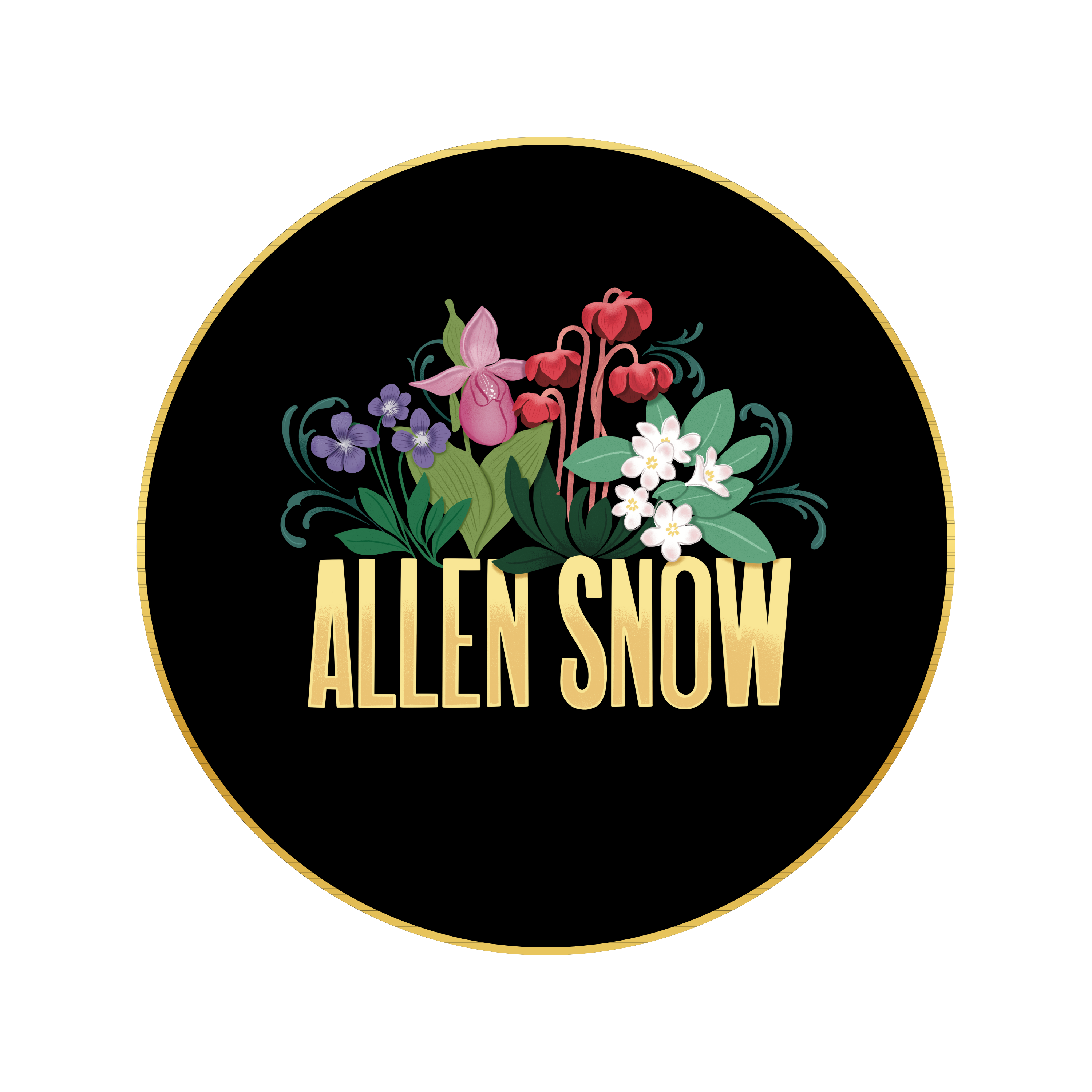 Allen Snow