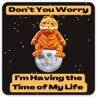 "Dont You worry" Sticker