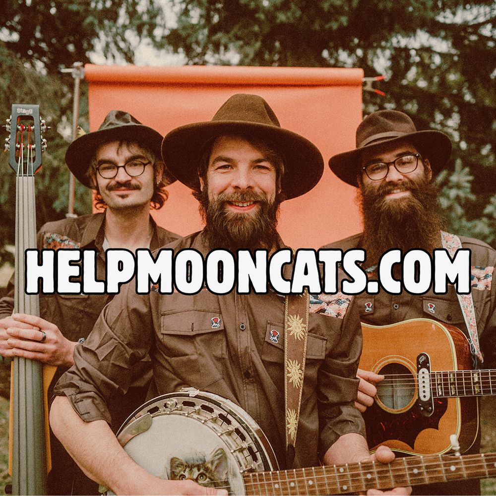 MoonCats
