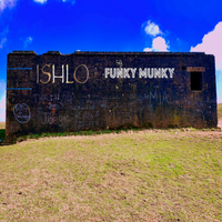 Funky Munky by ishlo