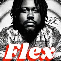 Flex by Who is DC