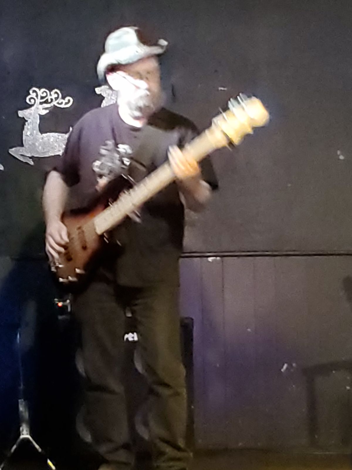 The Infamous Fuzzy Goldwater Band