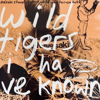 2006 'WIld Tigers I Have Known' directed by Cam Archer. Soundtrack featured tracks 'Idumea' and exclusive instrumental track 'High Star'  by Pantaleimon  