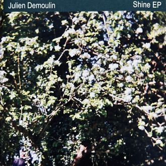2012 Julien Demoulin 'Shine' EP. Track: 'Dream Canvas'. Andria Degens: words, vocals
