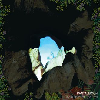 Pantaleimon The Butterfly Ate The Pearl Front Cover Image