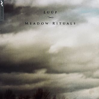 2011 Lüüp 'Meadow RItuals'. Track: 'Spiralling' and 'See You In Me'.  Andria Degens: Lyrics, Vocals