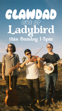 Clawdad Live at Ladybird