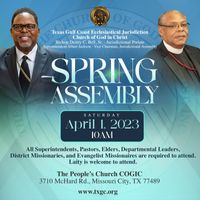 Spring Assembly