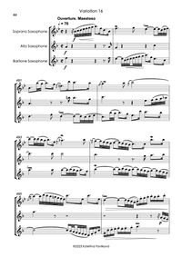 J. S. Bach: Goldberg Variations - Variation XVI
