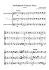 Antonio Vivaldi: Trio Sonata in D minor, RV 63 'La Follia'