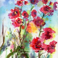 Pink Lavatera Flower Watercolor Free Image Download