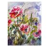 Oriental Poppies Watercolors