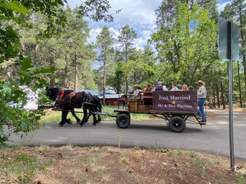 Mormon Lake Lodge
