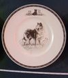 Kirmse Wedgwood Collie plate