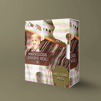 Marvelous Loops Vol.8 (Composition Stems)