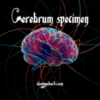 Cerebrum Specimen by Domingo