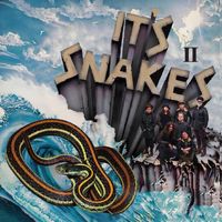 It's Snakes II: Vinyl