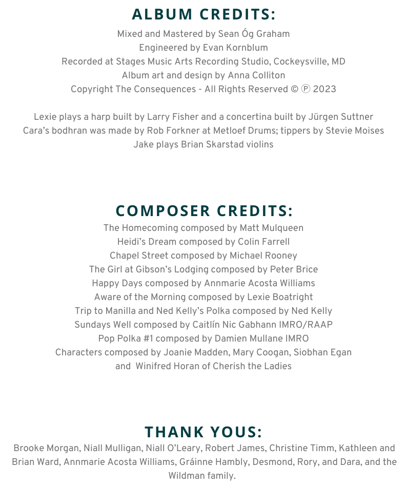 The Consequences When You Weren't Looking Liner Notes