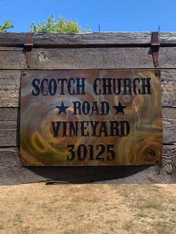 Scotch Church Road Vineyard
