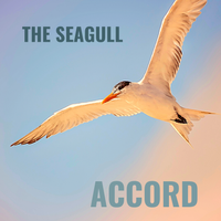 The Seagull von ACCORD